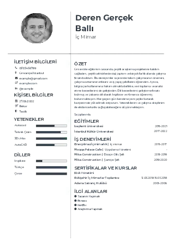 İç Mimar Cv Örnekleri cv indir
